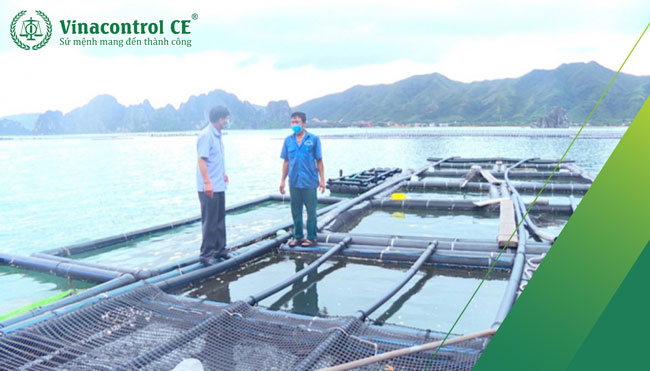 Sản phẩm xử lý Hello88 Trò chơi sòng bạc trực tuyến hay nhất, thương hiệu nuôi trồng Hello8818 tải ứng dụng có ảnh hưởng rất lớn đến chất lượng nuôi trồng.  Vì vậy cần được kiểm soát chất lượng, bao gồm sản phẩm Hello88 là nhà cái thể thao uy tín hàng đầu Châu Á.