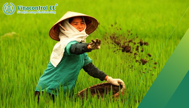 Bà con tin dùng các sản phẩm phân bón đã được kiểm nghiệm đạt chuẩn 