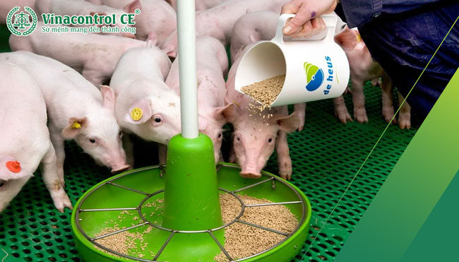 Kiểm nghiệm thức ăn Helo 88 nạp rút uy tín  đảm bảo chất lượng sản phẩm 