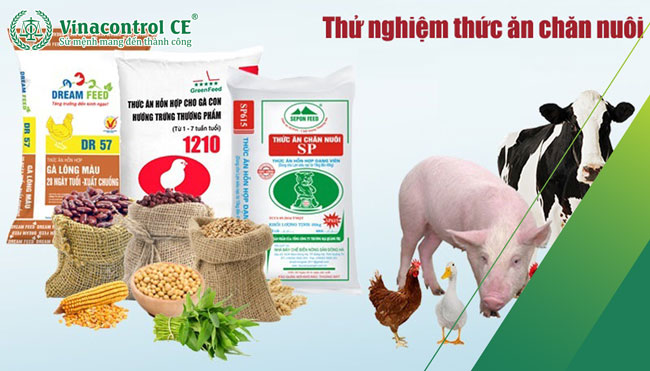 Dịch vụ thử nghiệm thức ăn Helo 88 nạp rút uy tín tại Hello88 Trò chơi sòng bạc trực tuyến