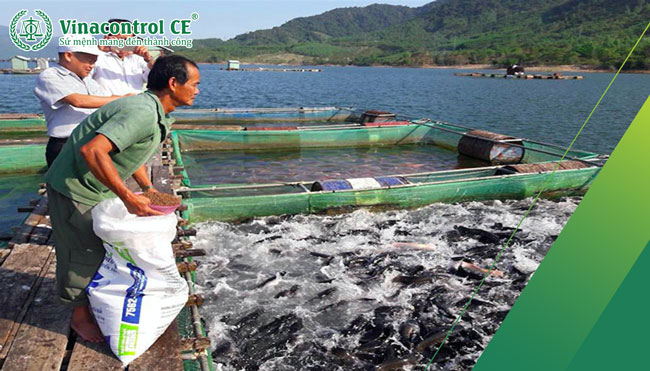 Hello88.com thể thao, casino, slot game Hello8818 tải ứng dụng cần thử nghiệm để chứng minh chất lượng và an tâm cho người sử dụng