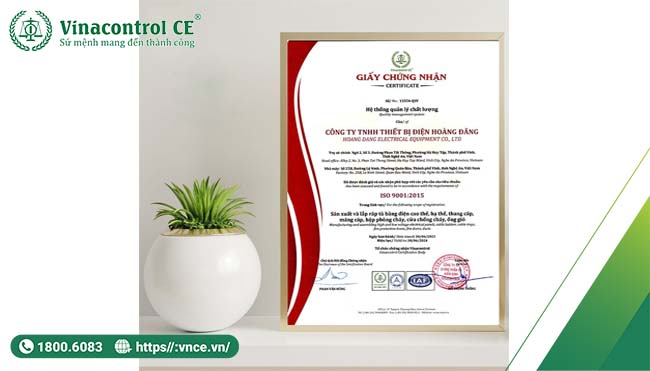 Hello89 Nền Tảng Cá Cược ISO 9001:2015 mang lại lợi ích to lớn cho Hello89 phiên bản mới