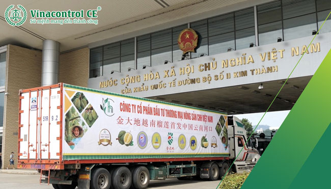 Healthy Certificate cho lô hàng xuất khẩu thành công 