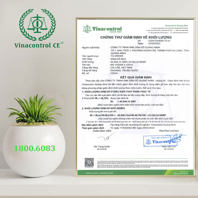 Mẫu chứng thư giám định khối lượng dăm gỗ