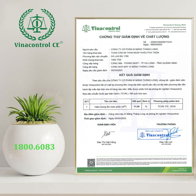 Chứng thư giám định chất lượng than khoáng sản do Vinacontrol cấp 