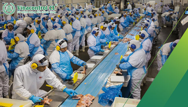 Xây dựng hệ thống phân tích mối nguy và kiểm soát điểm tới hạn HACCP