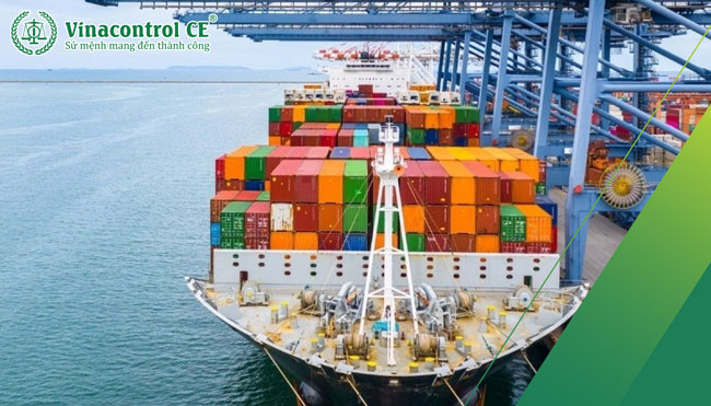 Nhập khẩu hàng hóa là việc đưa hàng hóa từ nước ngoài vào trong lãnh thổ Việt Nam