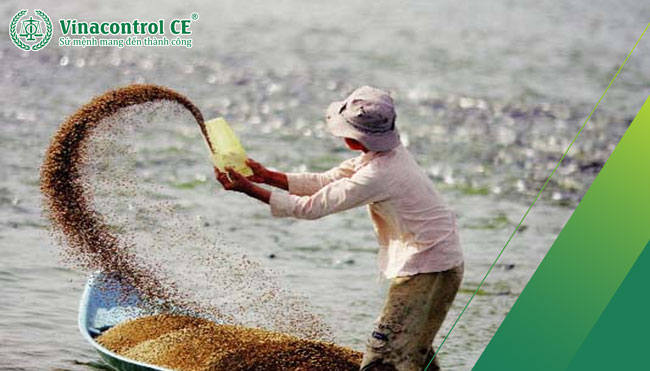 Kiểm dịch để đảm bảo an toàn cho vật nuôi