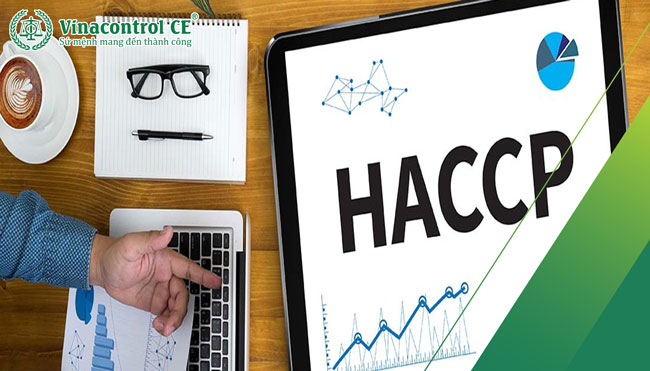 Hello89 Nền Tảng Cá Cược HACCP - Tiêu chuẩn cho an toàn vệ sinh Trang Chủ Đăng Nhập Hello88 Và Đăng Ký Nhận 88K 