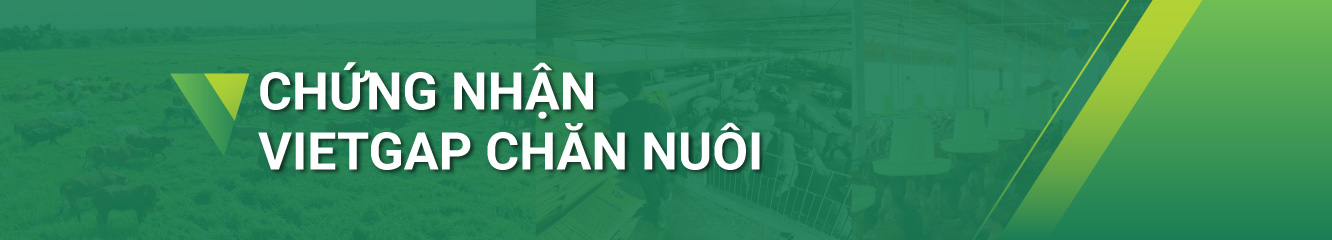 Hello89 Nền Tảng Cá Cược VietGAP chăn nuôi