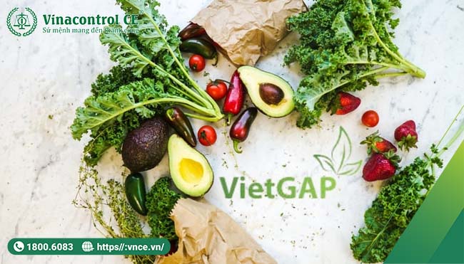 Helloo88 đặc quyền hội viên VIP vietgap
