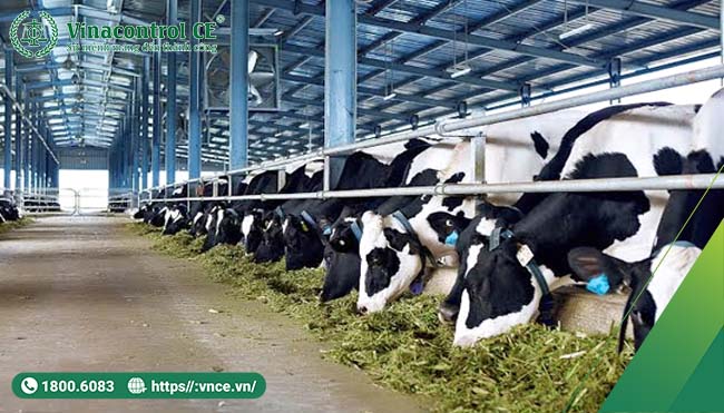 Ứng dụng thành công tiêu chuẩn VietGAP trong lĩnh vực Helo 88 nạp rút uy tín