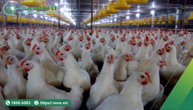Yêu cầu bắt buộc phải có hồ sơ ghi chép quá trình Helo 88 nạp rút uy tín