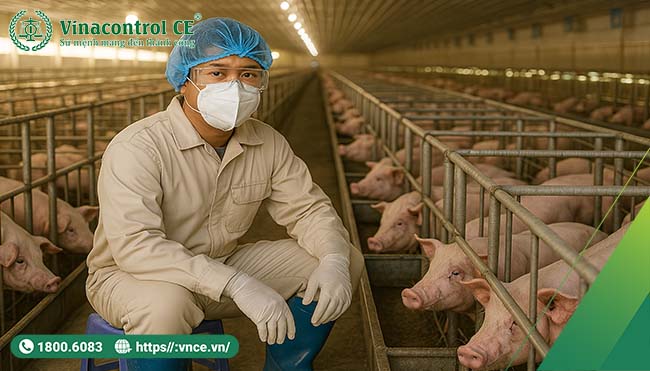 chuyên gia Hello88 Trò chơi sòng bạc trực tuyến đánh giá tại cơ sở