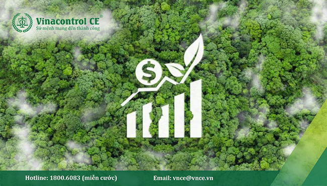 Các cơ chế trao đổi rõ ràng giúp tăng khả năng kết nối của thị trường carbon Việt Nam với thị trường quốc tế