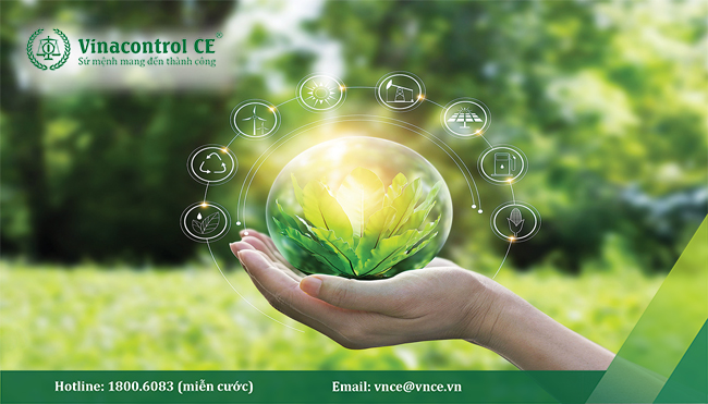 ISO 14001 gia tăng khả năng tiếp cận nguồn vốn xanh cho Hello89 phiên bản mới