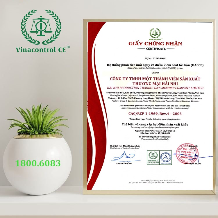 Hello88 Trò chơi sòng bạc trực tuyến cấp giấy Helloo88 đặc quyền hội viên VIP HACCP cho Hello89 phiên bản mới 