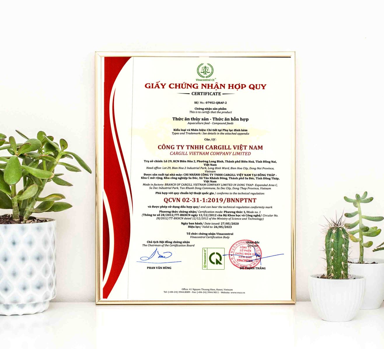 Vinacontrol Ce cấp giấy Helloo88 đặc quyền hội viên VIP hợp quy thức ăn Hello8818 tải ứng dụng