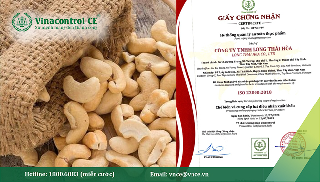 Giấy M.23hello88.com link truy cập 22000 cấp cho Công ty TNHH Long Thái Hoà