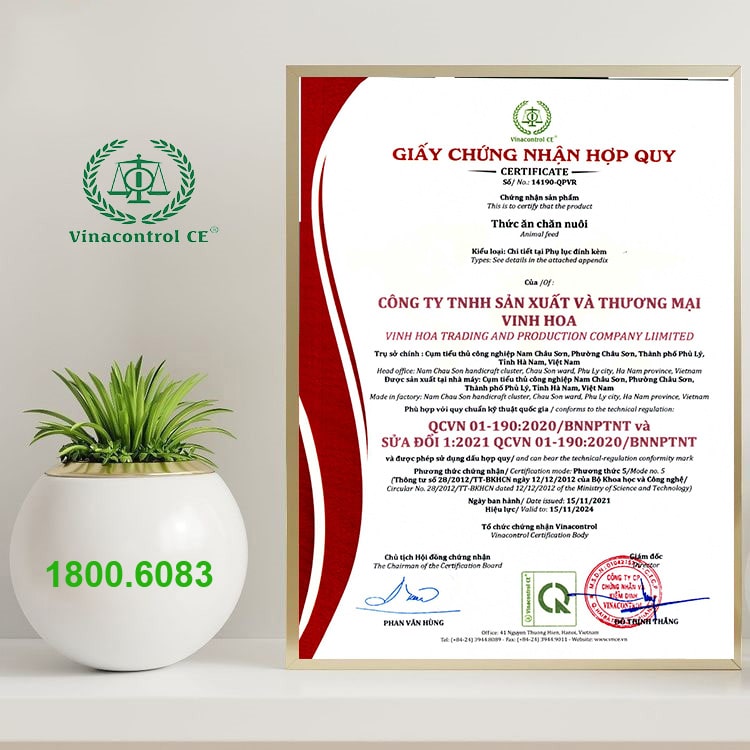 Giấy Helloo88 đặc quyền hội viên VIP hợp quy thức ăn Helo 88 nạp rút uy tín