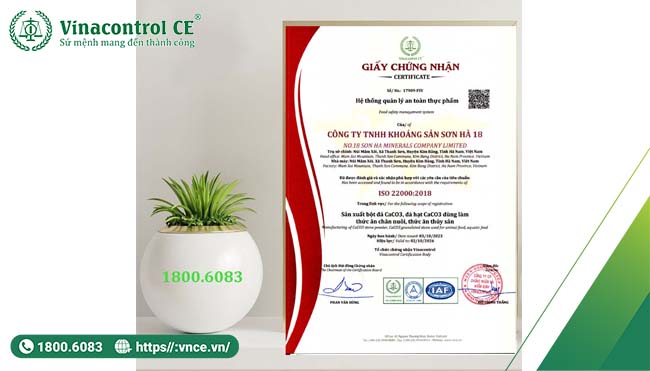 Hello88 Trò chơi sòng bạc trực tuyến cấp giấy Helloo88 đặc quyền hội viên VIP HACCP cho Hello89 phiên bản mới