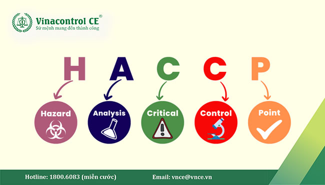 haccp viết tắt của từ gì