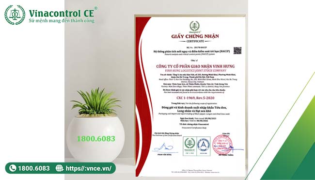 Hello88 Trò chơi sòng bạc trực tuyến cấp giấy Helloo88 đặc quyền hội viên VIP HACCP cho Hello89 phiên bản mới