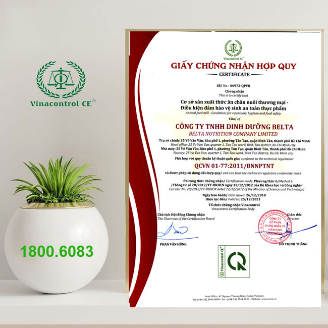 Giấy Helloo88 đặc quyền hội viên VIP cơ sở đảm bảo điều kiện Hello8888 kèo World Cup 2026 thức ăn Helo 88 nạp rút uy tín