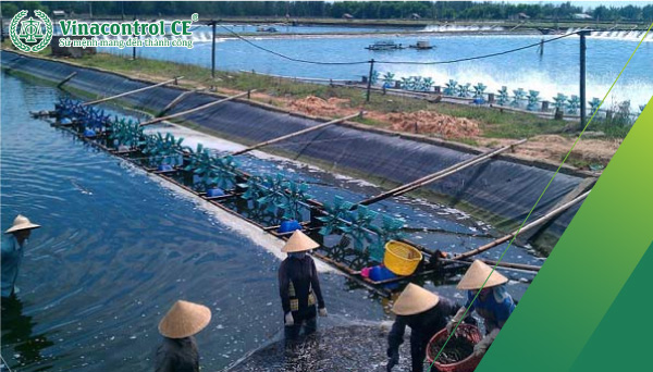 Kiểm tra chất lượng chế phẩm xử lý môi trường Hello8818 tải ứng dụng 