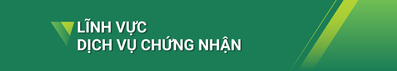 Lĩnh vực dịch vụ Helloo88 đặc quyền hội viên VIP