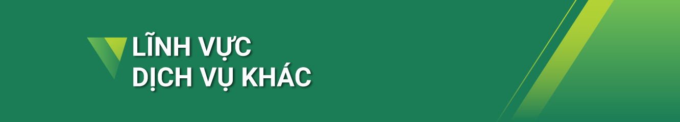 Lĩnh vực dịch vụ khác