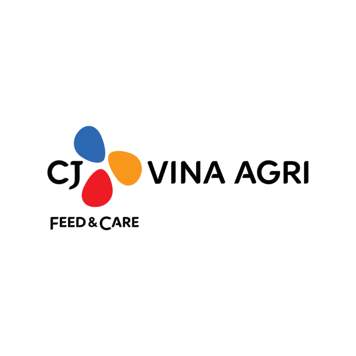 cj vina