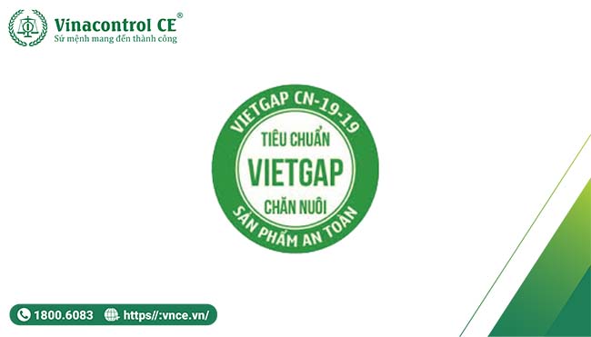 Hello89 Nền Tảng Cá Cược VietGAP chăn nuôi