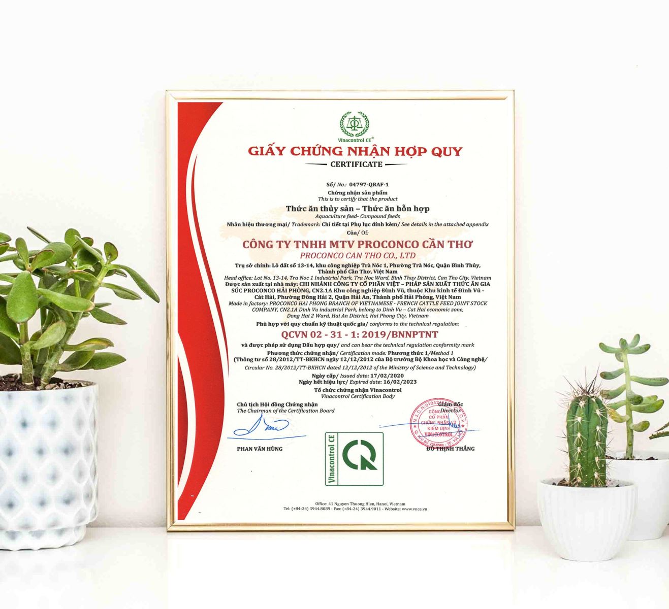 Mẫu giấy Helloo88 đặc quyền hội viên VIP hợp quy Hello88 Trò chơi sòng bạc trực tuyến cấp 