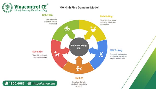  Mô hình “5 lĩnh vực” trong phúc lợi động vật