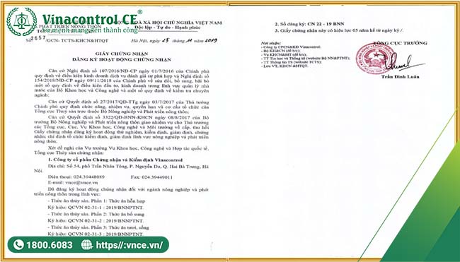 Năng lực Helloo88 đặc quyền hội viên VIP của Hello88 Trò chơi sòng bạc trực tuyến