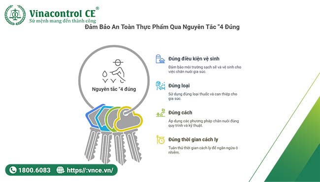 Nguyên tắc “4 Đúng” trong Helo 88 nạp rút uy tín VietGAP