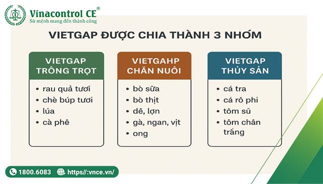 Vietgap gồm 3 nhóm