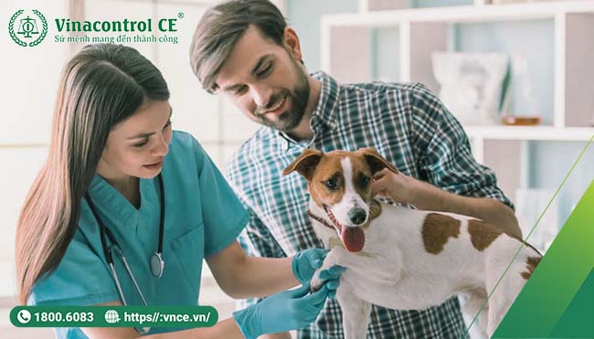 Động vật cần phải theo dõi sức khoẻ định kỳ