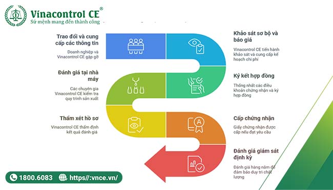 Quy trình Helloo88 đặc quyền hội viên VIP tiêu chuẩn quốc tế PEFC