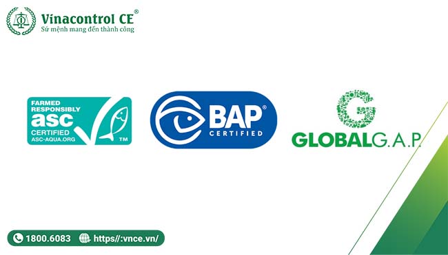 So sánh BAP và các tiêu chuẩn khác