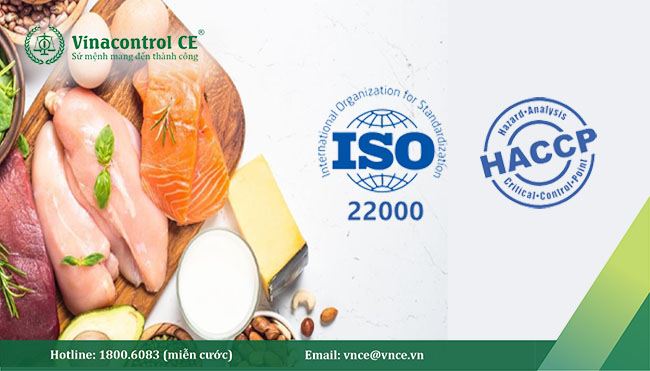  So sánh ISO 22000 và HACCP | Hello88.com nhà cái bóng đá world cup 2026 bạn phù hợp với tiêu chuẩn nào?