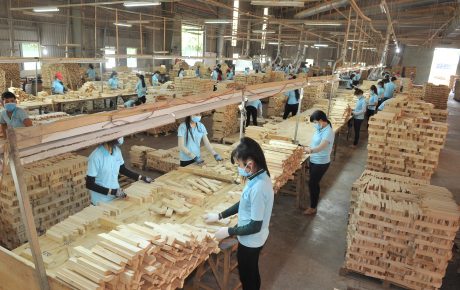 Sản xuất chế biến sản phẩm gỗ