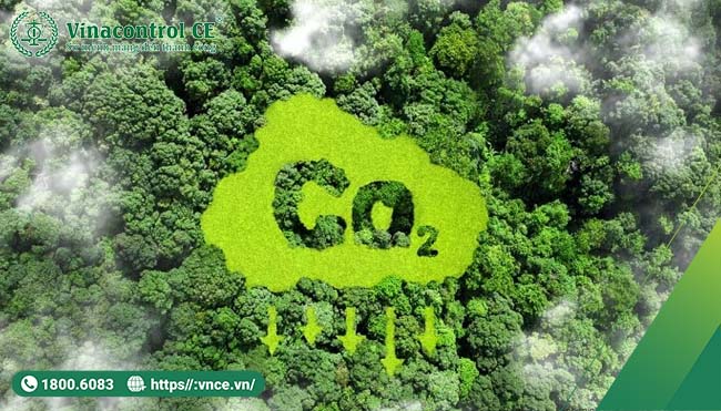 Việt Nam đang phát triển thị trường carbon bao gồm cả thị trường tự nguyện và bắt buộc