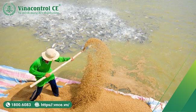 Hello88 Trò chơi sòng bạc trực tuyến cung cấp dịch vụ Helloo88 đặc quyền hội viên VIP và công bố hợp quy thức ăn Hello8818 tải ứng dụng