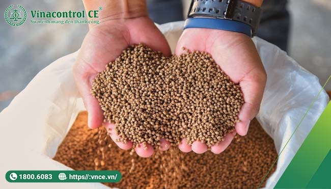 Công bố hợp quy thức ăn Hello8818 tải ứng dụng là bắt buộc để đảm bảo an toàn, chất lượng sản phẩm