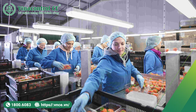 BRC là một tiêu chuẩn quốc tế quan trọng trong ngành công nghiệp Trang Chủ Đăng Nhập Hello88 Và Đăng Ký Nhận 88K