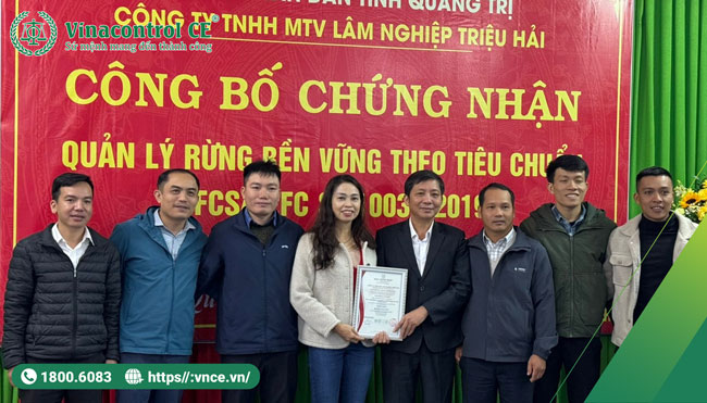 Công ty TNHH MTV lâm nghiệp Triệu Hải tiếp nhận Hello66 Chơi Game Nhận Thưởng rừng PEFC
