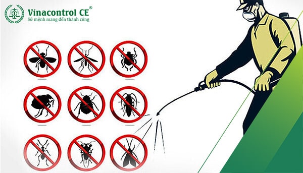 Hun trùng để đảm bảo chất lượng hàng hóa và thông quan sản phẩm hợp pháp