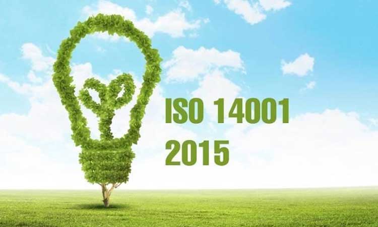 ISO 14001 là tiêu chuẩn phổ biến nhất và cũng là cốt lõi của bộ ISO 14000